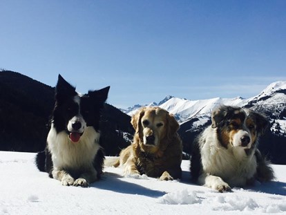Hundehotel - Pinzgau - Winterkulisse in Rauris - Hotel Grimming Dogs & Friends