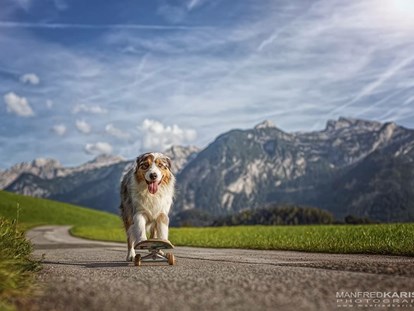 Hundehotel - Nationalpark Hohe Tauern - Spiel und Spaß auf zwei oder vier Beinen - Hotel Grimming Dogs & Friends