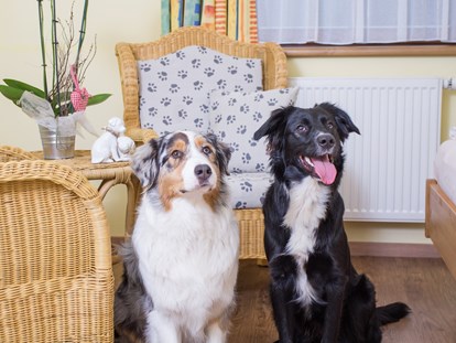 Hundehotel - Dogsitting - Lofer - Hotel Grimming Dogs & Friends