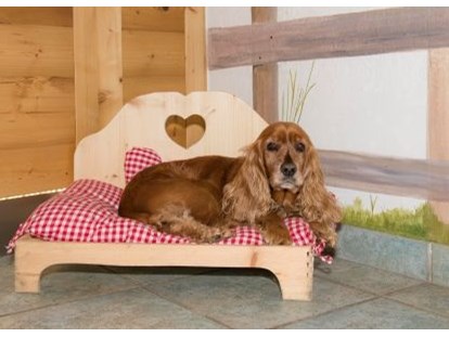 Hundehotel - Umgebungsschwerpunkt: See - Lofer - Hundebett - Hotel Grimming Dogs & Friends