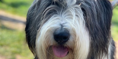 Hundehotel - Umgebungsschwerpunkt: See - Gappenach - Haushund Pleasure  - NaturPurHotel Maarblick