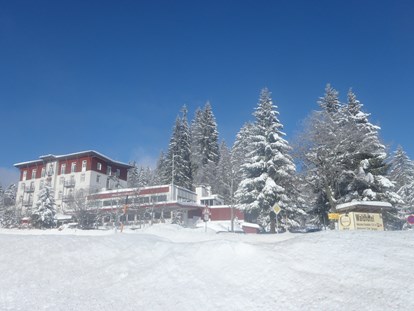 Hundehotel - Umgebungsschwerpunkt: Berg - Deutschland - Winter Ansicht - Waldhotel am Notschreipass