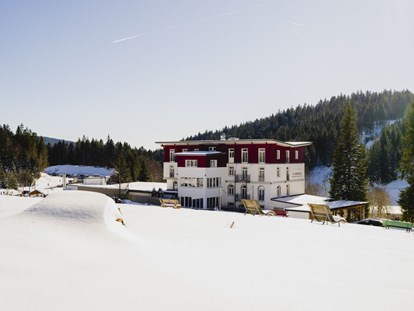Hundehotel - Sauna - Schwarzwald - Außenansicht im Winter - Waldhotel am Notschreipass
