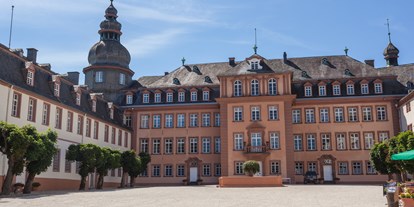 Hundehotel - Umgebungsschwerpunkt: Berg - Medebach - Schloss Bad Berleburg - Hotel Alte Schule