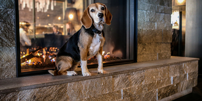 Hundehotel - Hund im Restaurant erlaubt - Pontresina - Grischa - DAS Hotel Davos