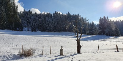 Hundehotel - Umgebungsschwerpunkt: See - Flachau - Alpenhof Sankt Martin