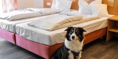 Hundehotel - Doggies: 4 Doggies - Hotel Restaurant Talblick