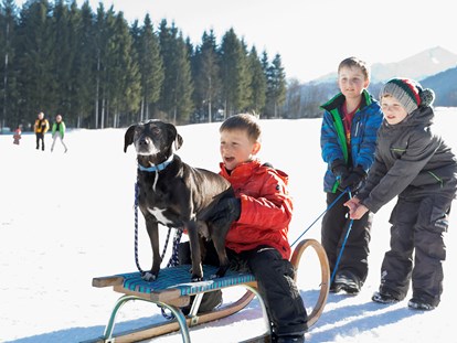 Hundehotel - Doggies: 4 Doggies - Großarltal - Urlaub mit Hund - Feriendorf Holzleb'n