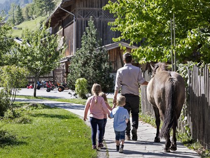 Hundehotel - Umgebungsschwerpunkt: Berg - Dorfgastein - Spaziergang mit den Ponys - Feriendorf Holzleb'n