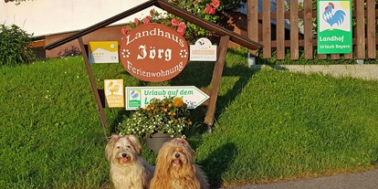 Hundehotel - Umgebungsschwerpunkt: Berg - Nesselwang - Ferienwohnung mit Hund im Allgäu
 - Landhaus Jörg