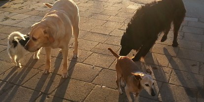 Hundehotel - Hund im Restaurant erlaubt - Riezlern - Landhaus Ohnesorg