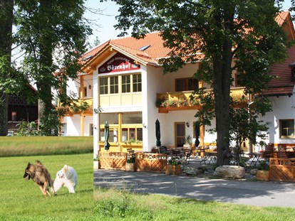 Hundehotel - Hundewiese: eingezäunt - Philippsreut - Hotel Bärenhof
