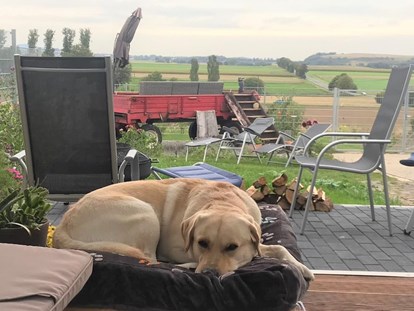 Hundehotel - Dogsitting - Deutschland - Wolfi, ein Gasthund, freut sich über die Hunde-Couch im Panorama-Pavillon des eingezäunten Gartens.  - Wellness-Ferienhaus Maifelder Uhlenhorst mit Spa