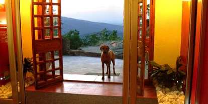 Hundehotel - Hundewiese: eingezäunt - Chianti - Siena - Aussicht vom Hoteleingang - Hotel Rifugio Prategiano Maremma Toskana