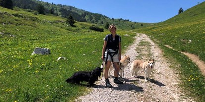 Hundehotel - Umgebungsschwerpunkt: Berg - Predazzo - Verschiedenste Wanderwege für große und kleine Pfoten. - Hotel Sport