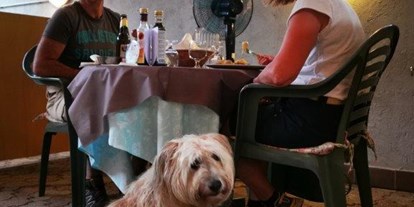 Hundehotel - Doggies: 2 Doggies - Predazzo - Bei solch Gaumenschmaus will jeder was haben. - Hotel Sport
