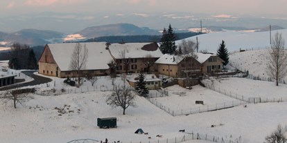 Hundehotel - Umgebungsschwerpunkt: Berg - Basel-Landschaft - Das Berghaus Oberbölchen im Winter - Berghaus Oberbölchen