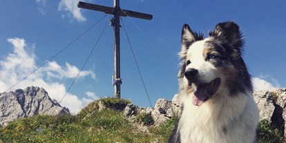 Hundehotel - Doggies: 4 Doggies - Wohlfühlzone für die Fellnasen - Hotel Martellerhof