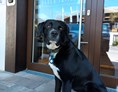 Urlaub-mit-Hund: Willkommen in den Bader Suites in Garmisch Partenkirchen - Bader Suites