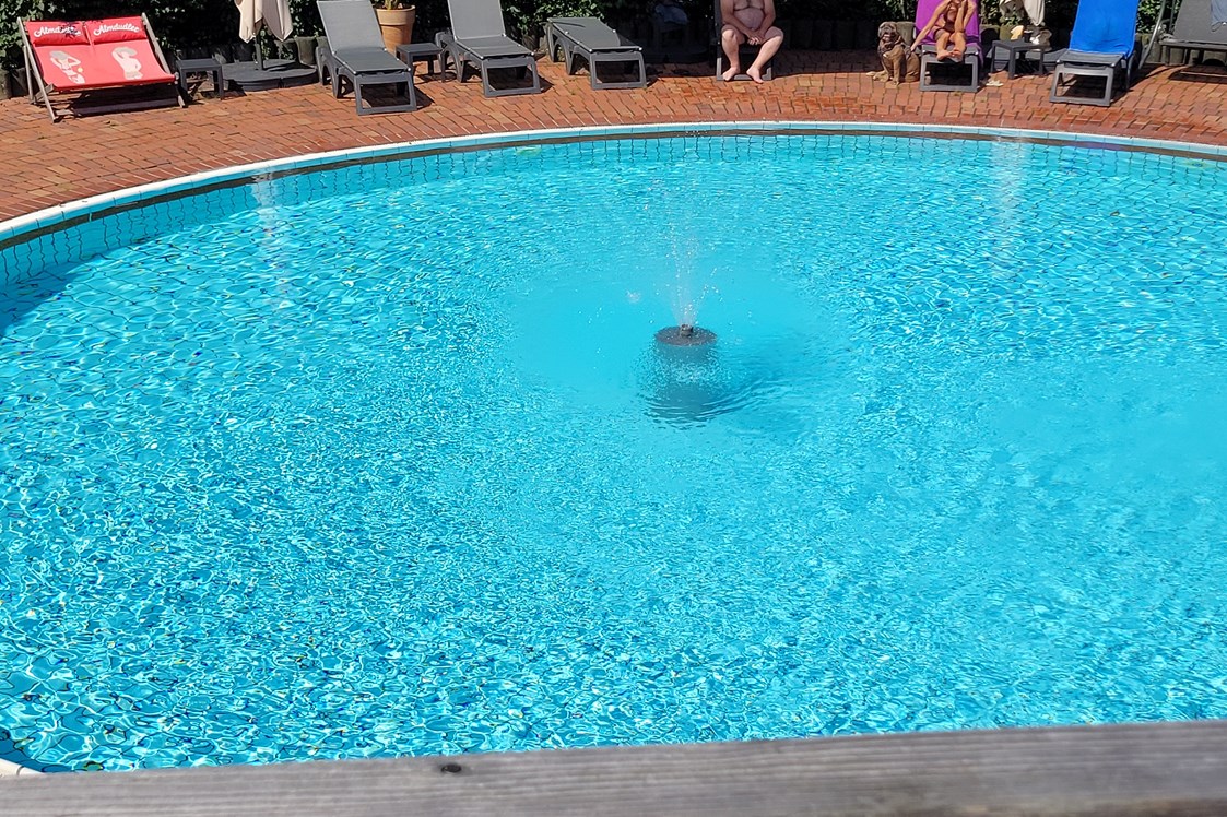 Urlaub-mit-Hund: Pool für Mensch & Hund - Seehotel Moldan