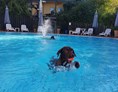 Urlaub-mit-Hund: Badespaß für Mensch und Hund - Seehotel Moldan