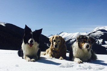 Urlaub-mit-Hund: Winterkulisse in Rauris - Hotel Grimming Dogs & Friends
